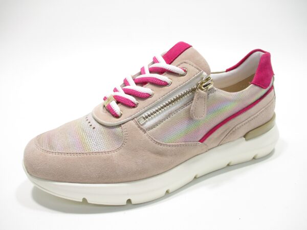Bordeaux H