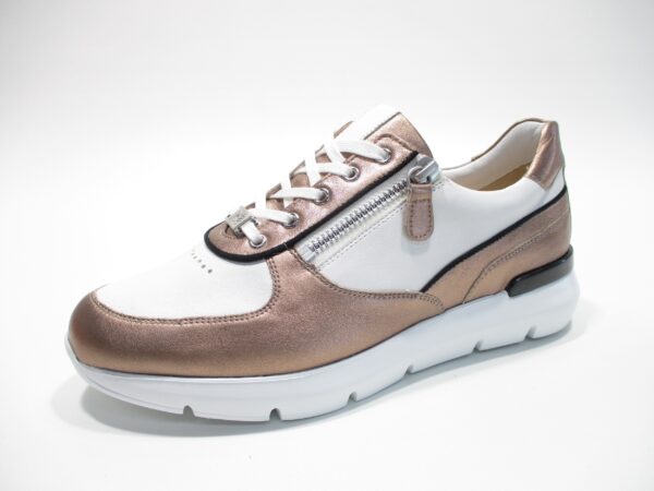 Bordeaux H